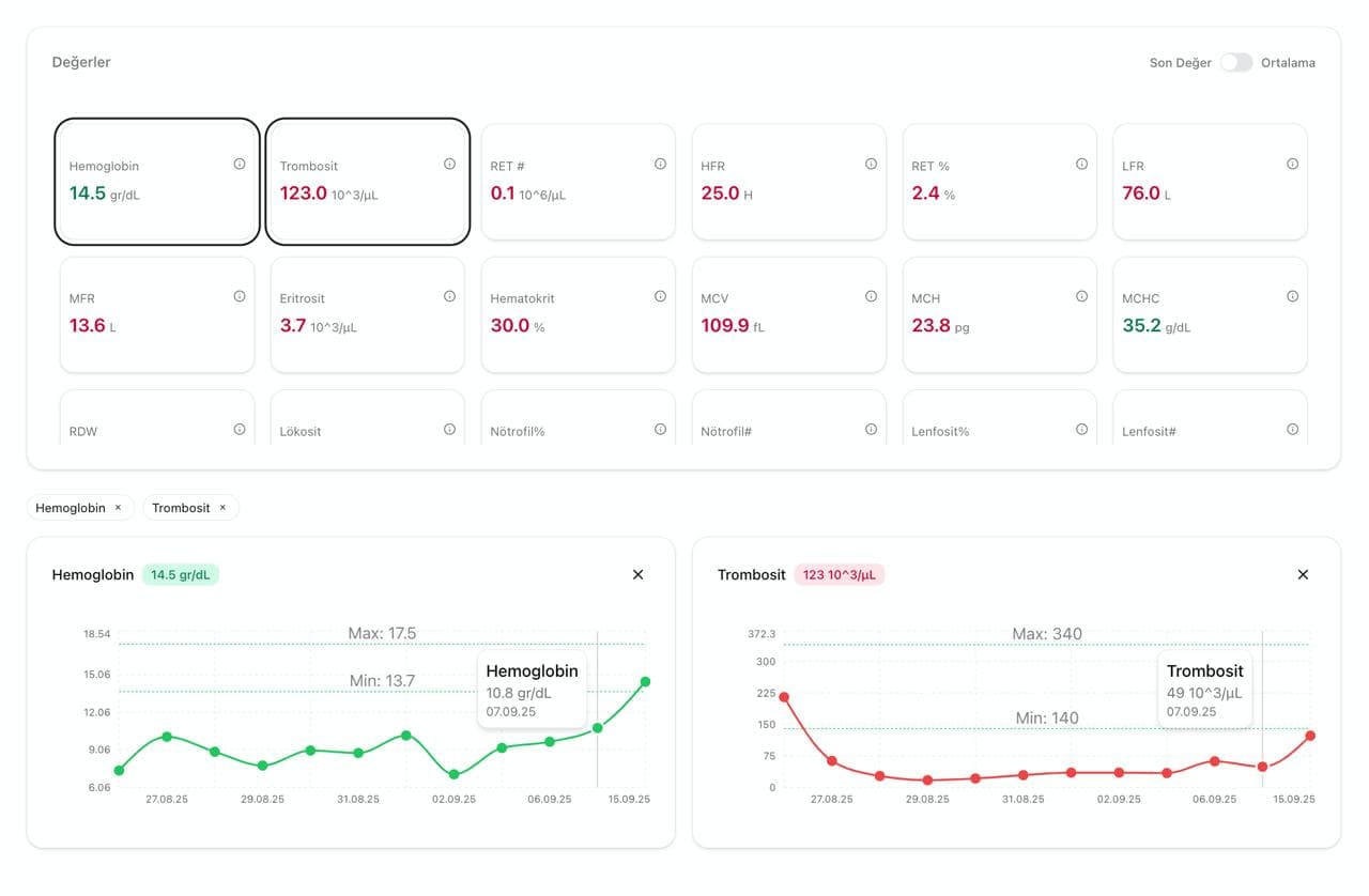 ViziAI Dashboard Preview
